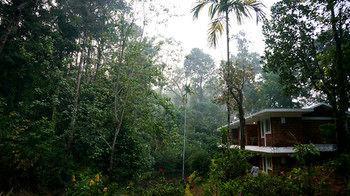 Falling Waters Munnar Buitenkant foto