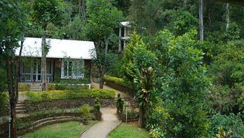 Falling Waters Munnar Buitenkant foto