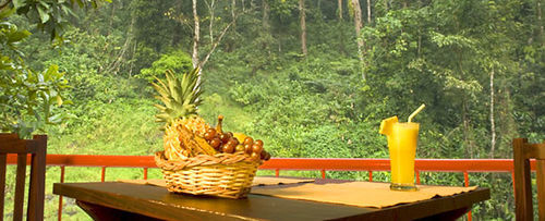 Falling Waters Munnar Buitenkant foto